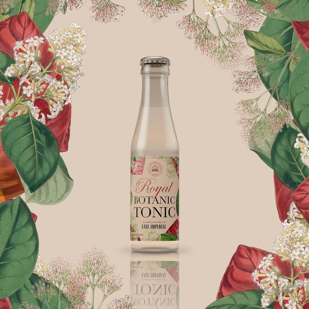 Humdinger best NZ made gin mixer - East Imperial Royal Botanic Tonic