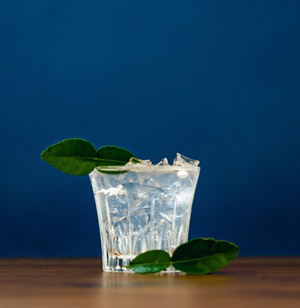 Humdinger Dry Gin and tonic