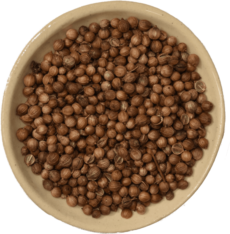 NZ coriander seed